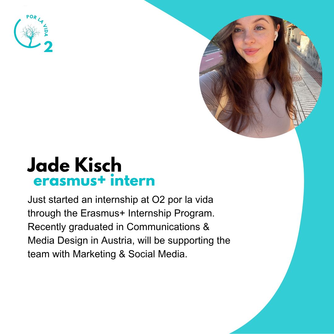 WhatsApp Image 2025-11-05 at 15.33.20